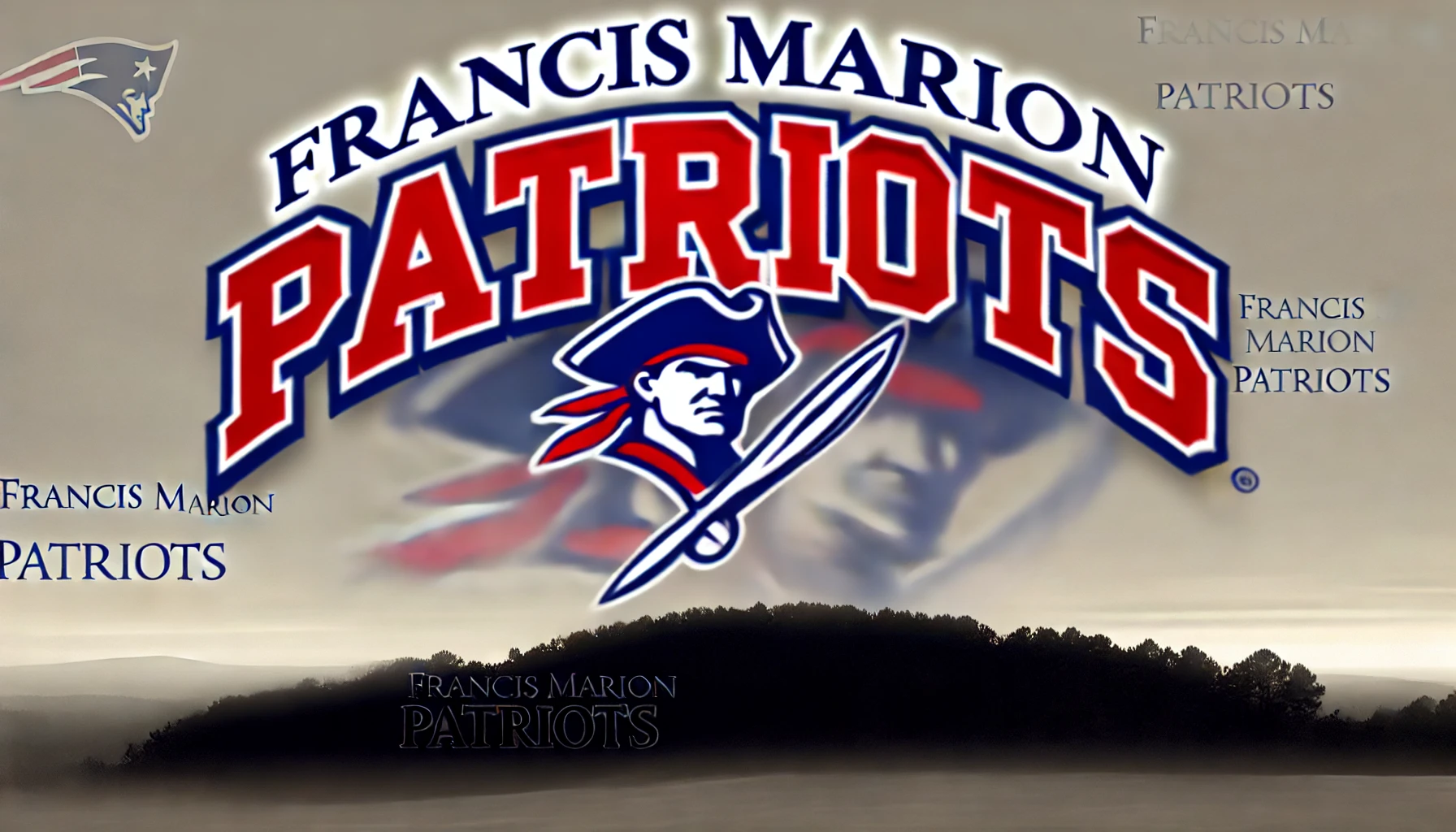 Francis Marion Patriots Color Codes