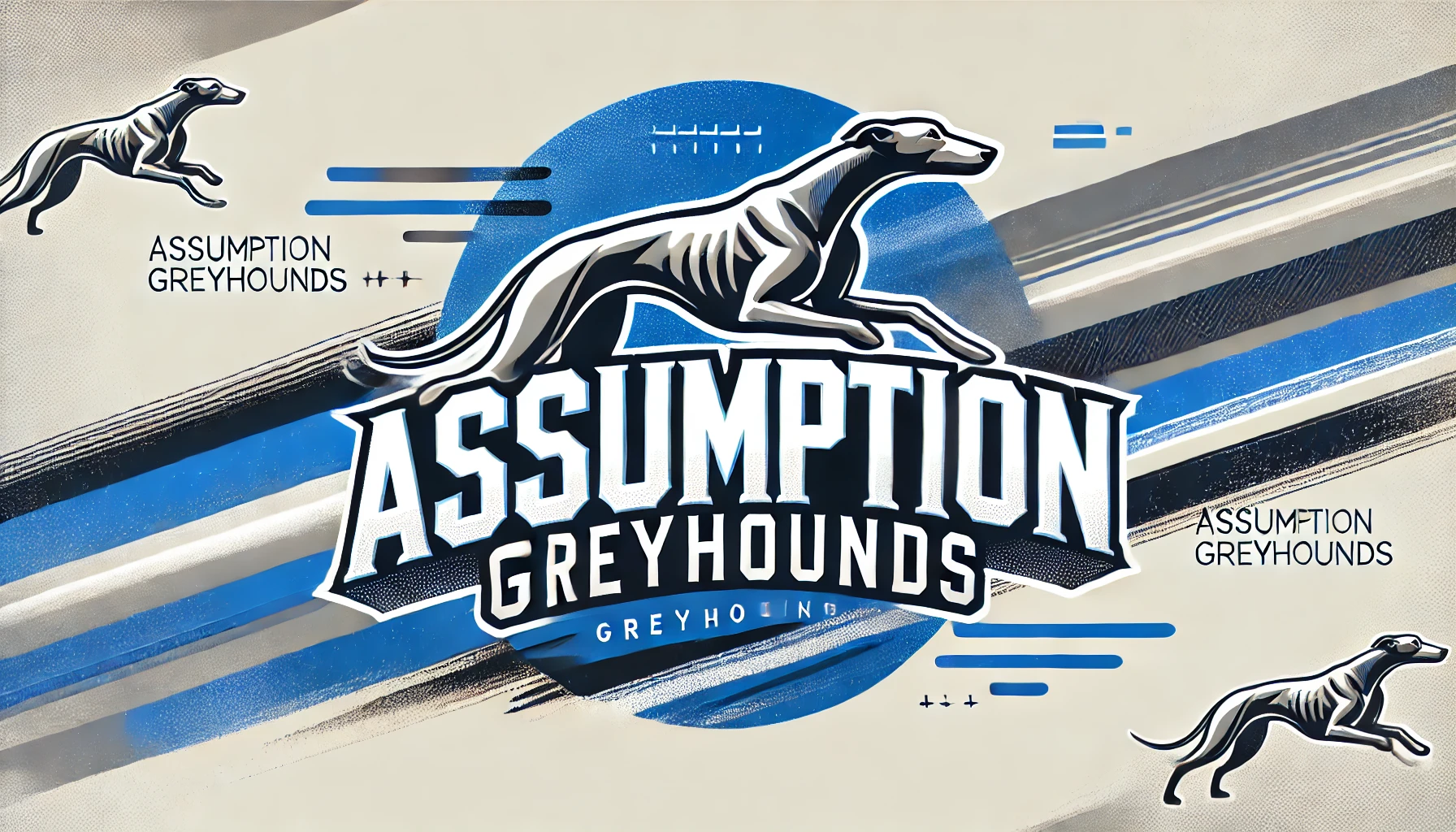 Assumption Greyhounds Color Codes